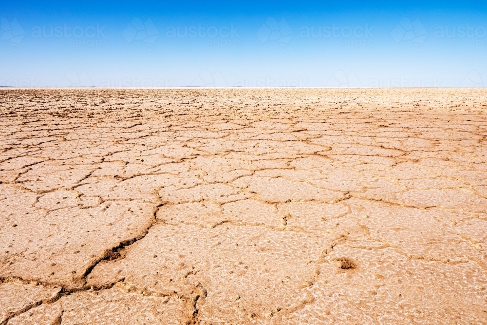 cracked dry lake bed - Australian Stock Image