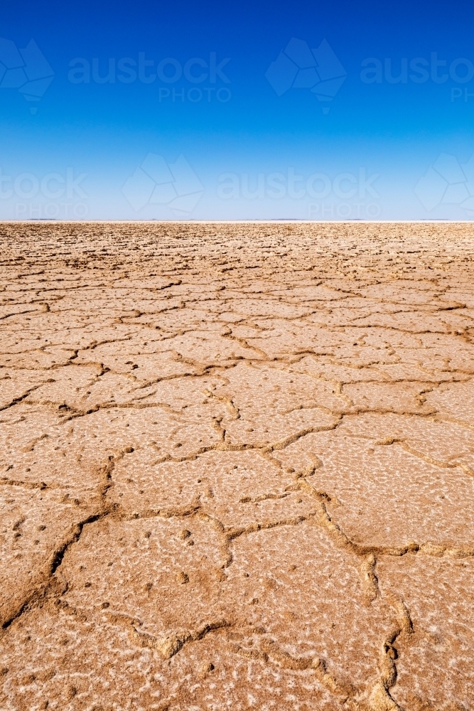 cracked dry lake bed vertical - Australian Stock Image