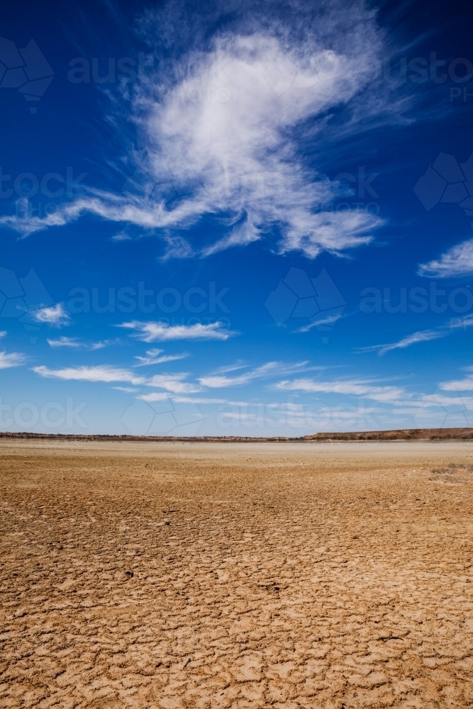 cracked dry lake bed vertical - Australian Stock Image
