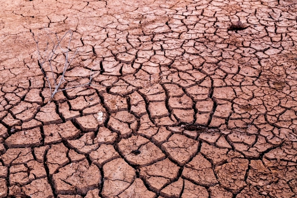 Cracked earth - Australian Stock Image
