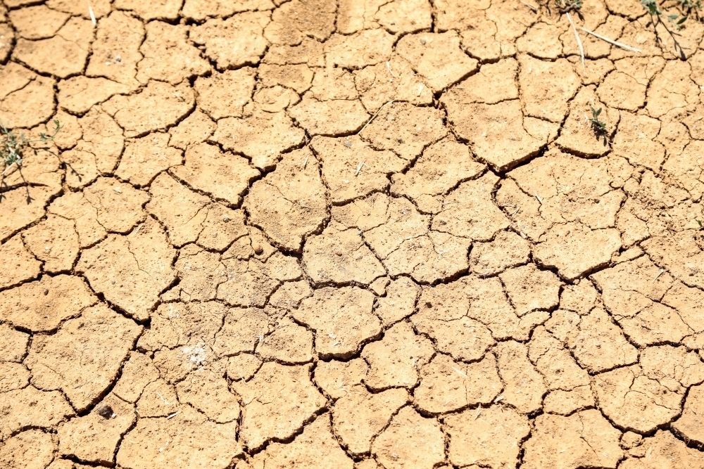 Cracked earth, dry dirt during drought - Australian Stock Image