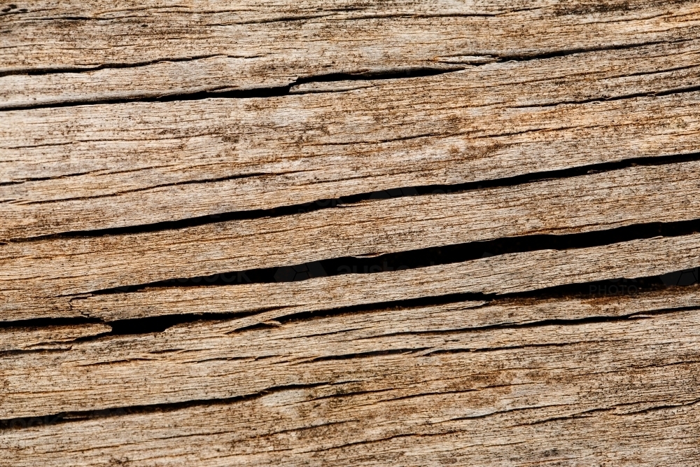 Cracked wood closeup - Australian Stock Image