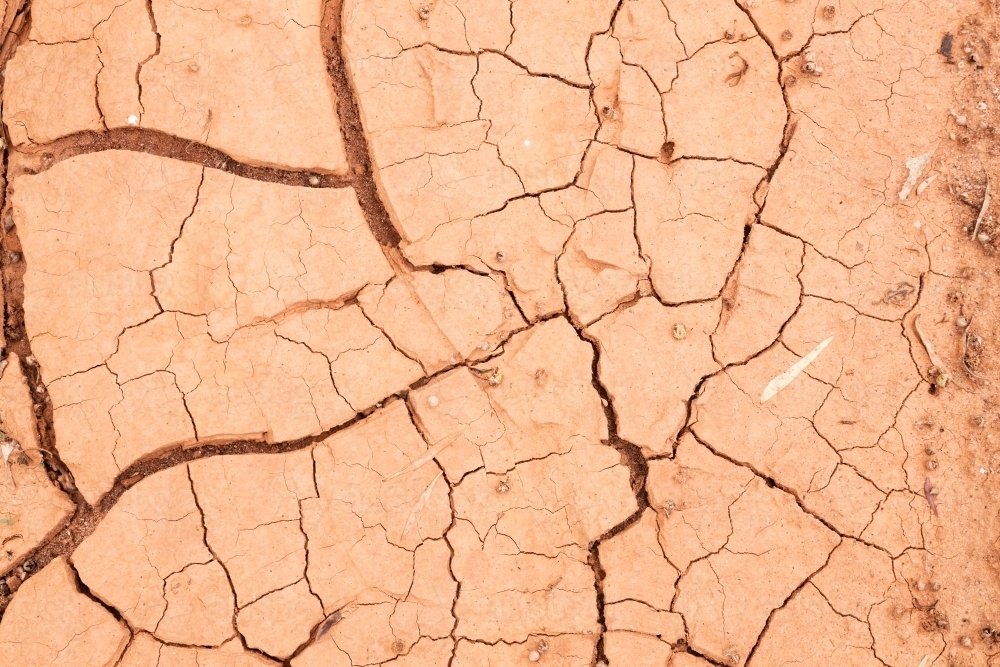 Cracks in dried mud - Australian Stock Image