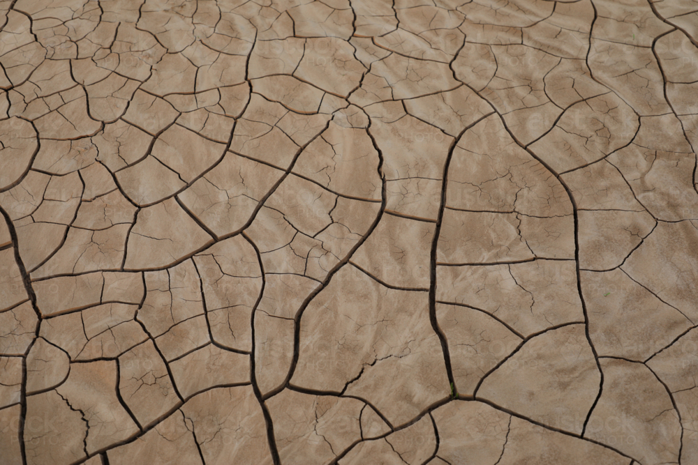 Cracks in silt - Australian Stock Image