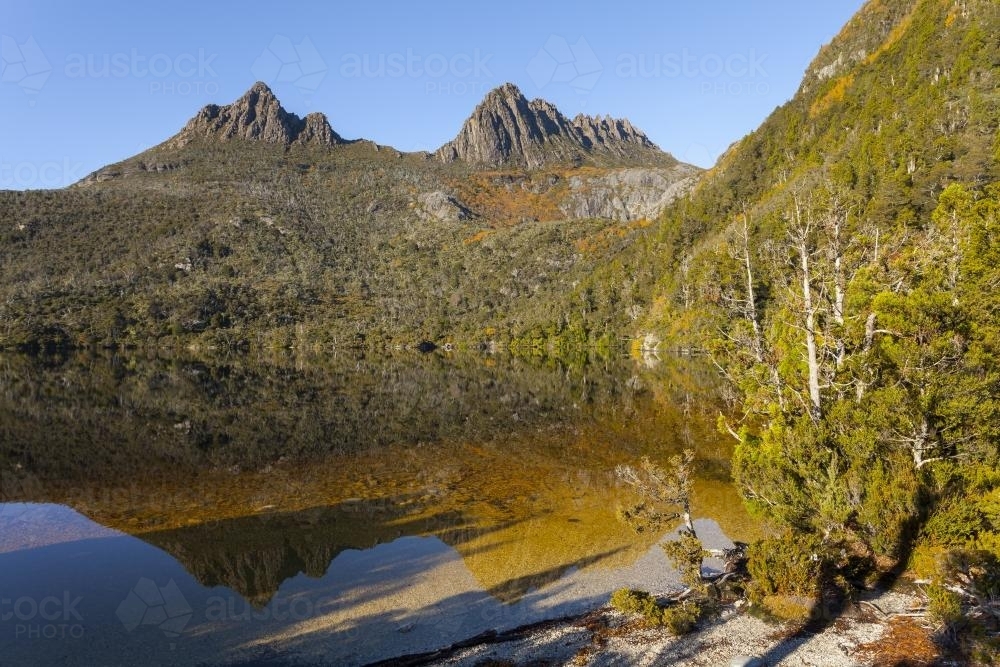 Cradle Mountain from the shore of Dove Lake : Austockphoto Cradle Mountain from the shore of Dove Lake - Australian Stock Image