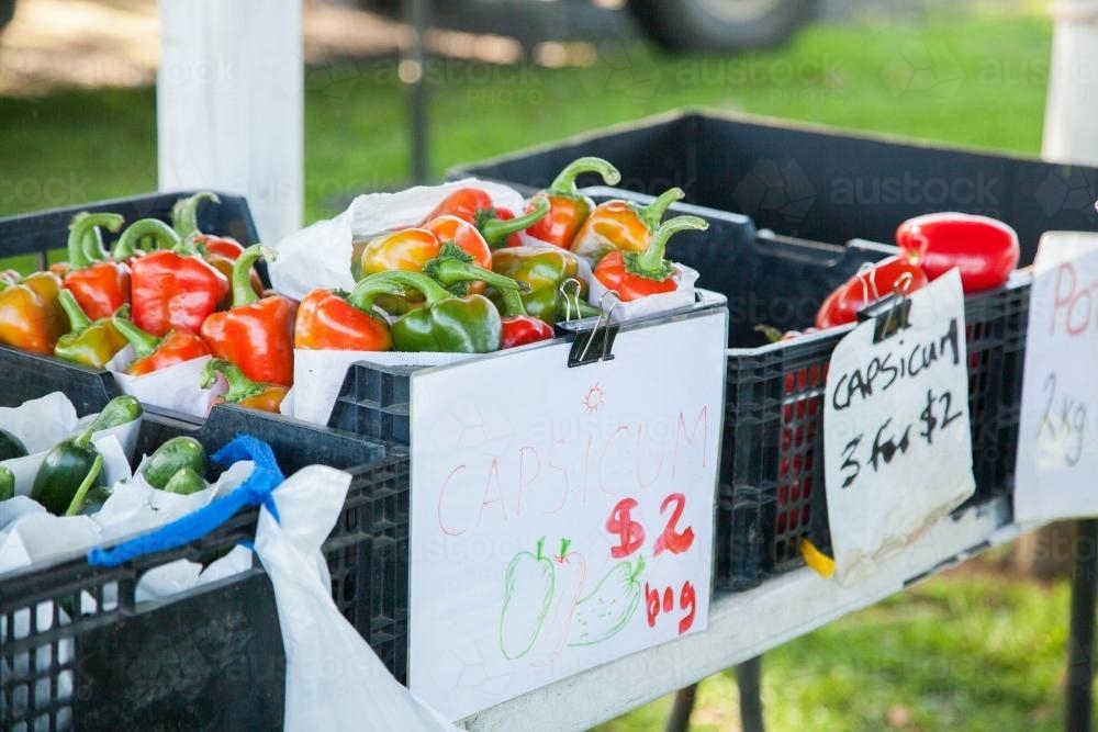 Crates of capsicums for sale at a farmers market - Australian Stock Image