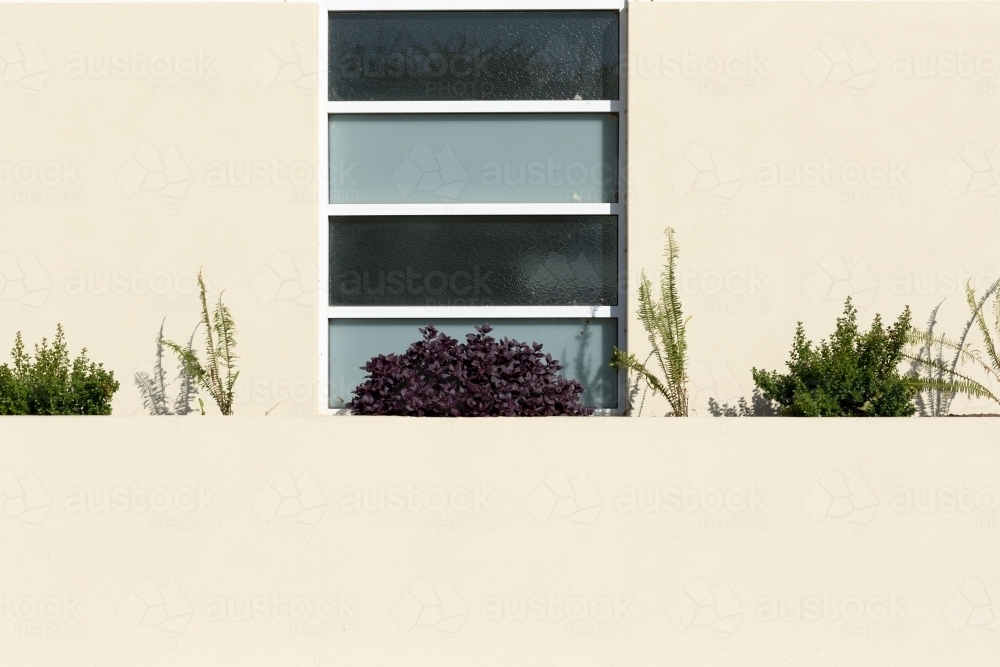 Cream coloured wall with plants and window - Australian Stock Image