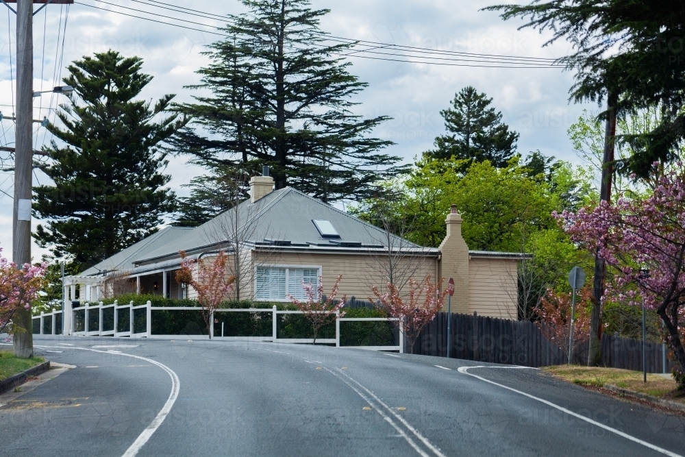 Cream weatherboard house on corner of streets in spring - Australian Stock Image