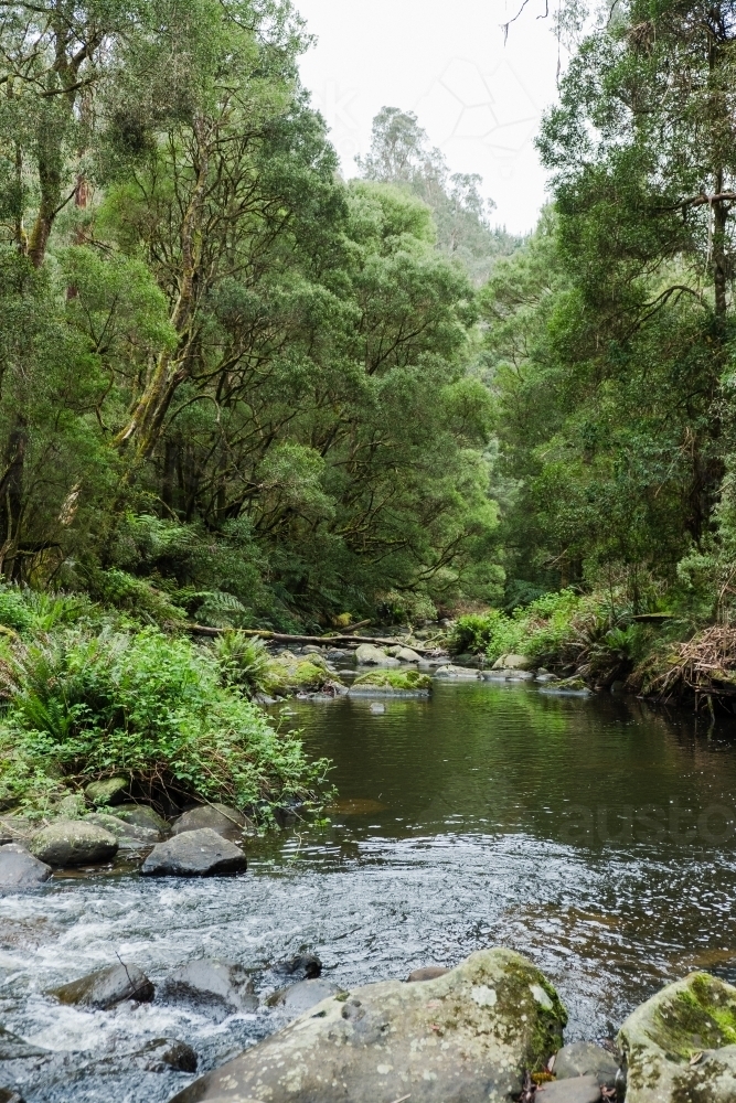 Creek flowing from the waterfall. - Australian Stock Image