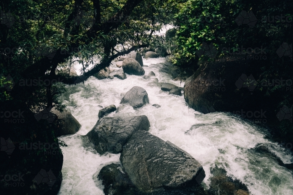 Creek ruining through Mossman Gorge - Australian Stock Image