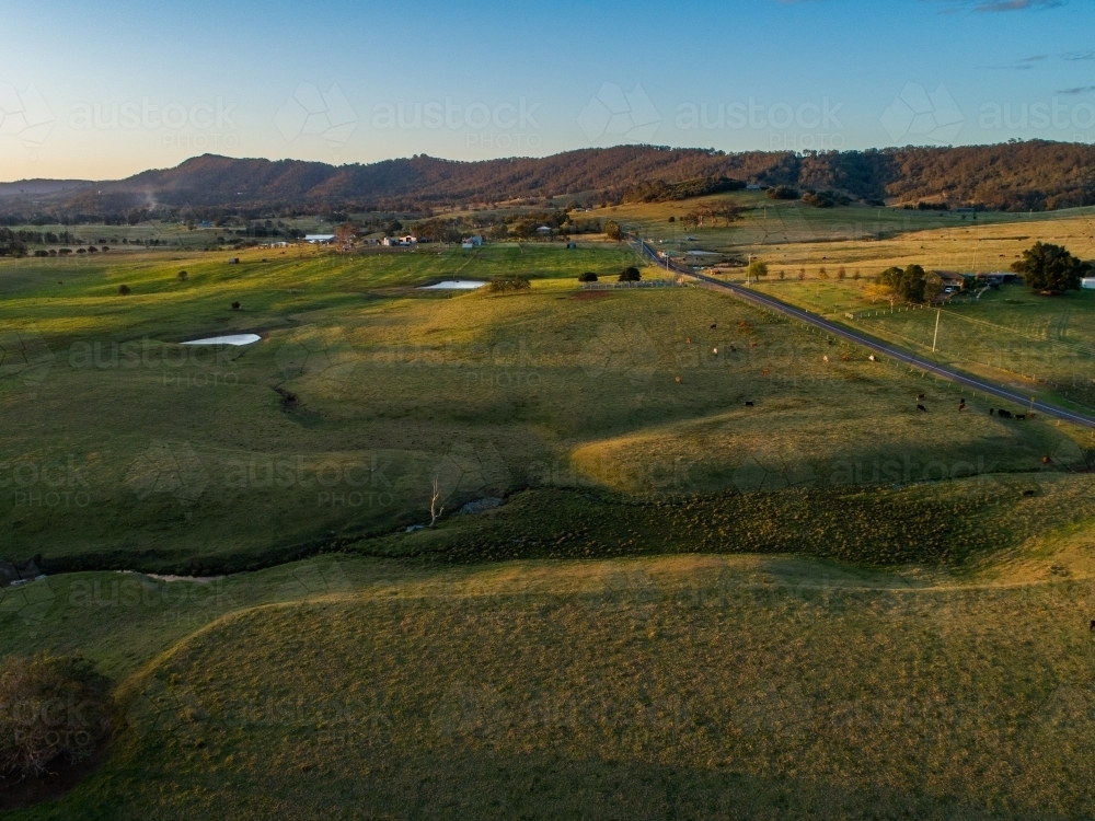 Creek winding through farm landscape with cattle in green paddock - Australian Stock Image