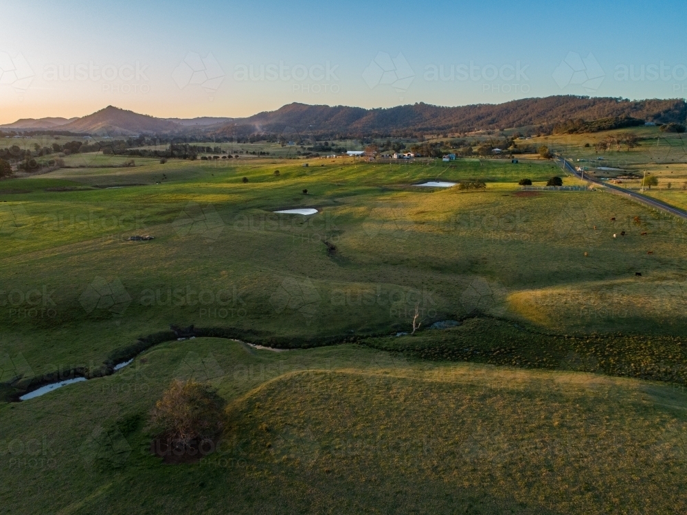 Creek winding through farm landscape with cattle in green paddock - Australian Stock Image
