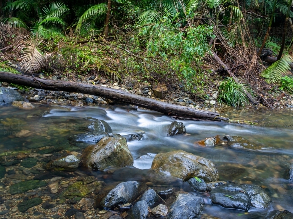 Creek with water flowing and riverbank - Australian Stock Image