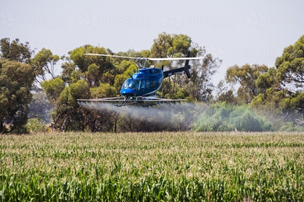 crop dusting - Australian Stock Image