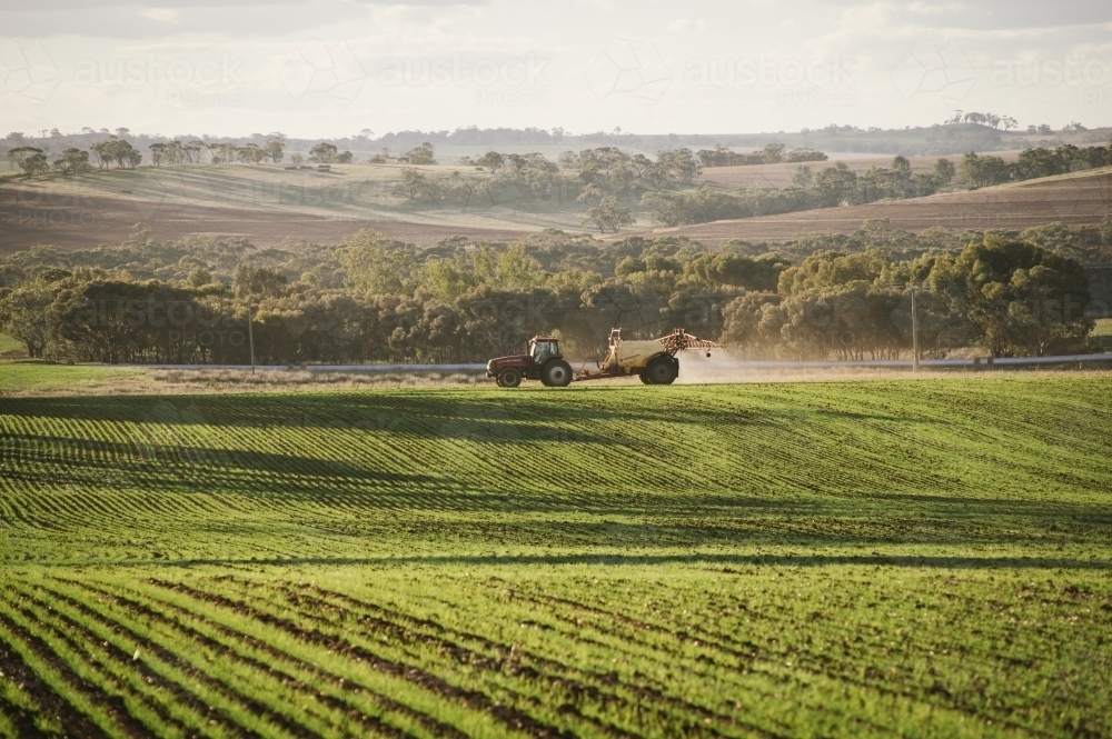 Crop spraying on a farm in the Avon Valley in Western Australia - Australian Stock Image