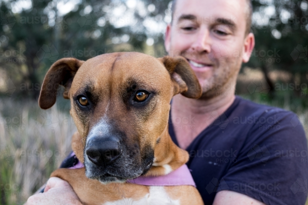 image-of-cross-breed-large-dog-and-male-owner-sitting-behind-looking-at