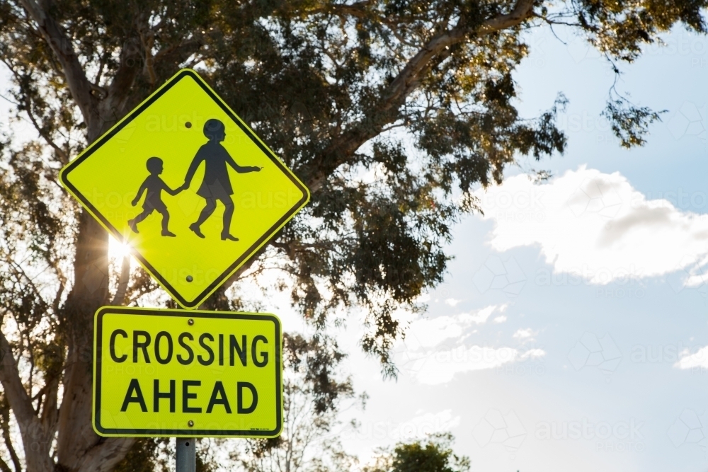 Crossing ahead sign in school zone with gum trees and sun flare - Australian Stock Image