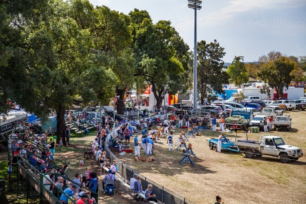 Crowds in the stands at the show ground watching wood chopping event - Australian Stock Image