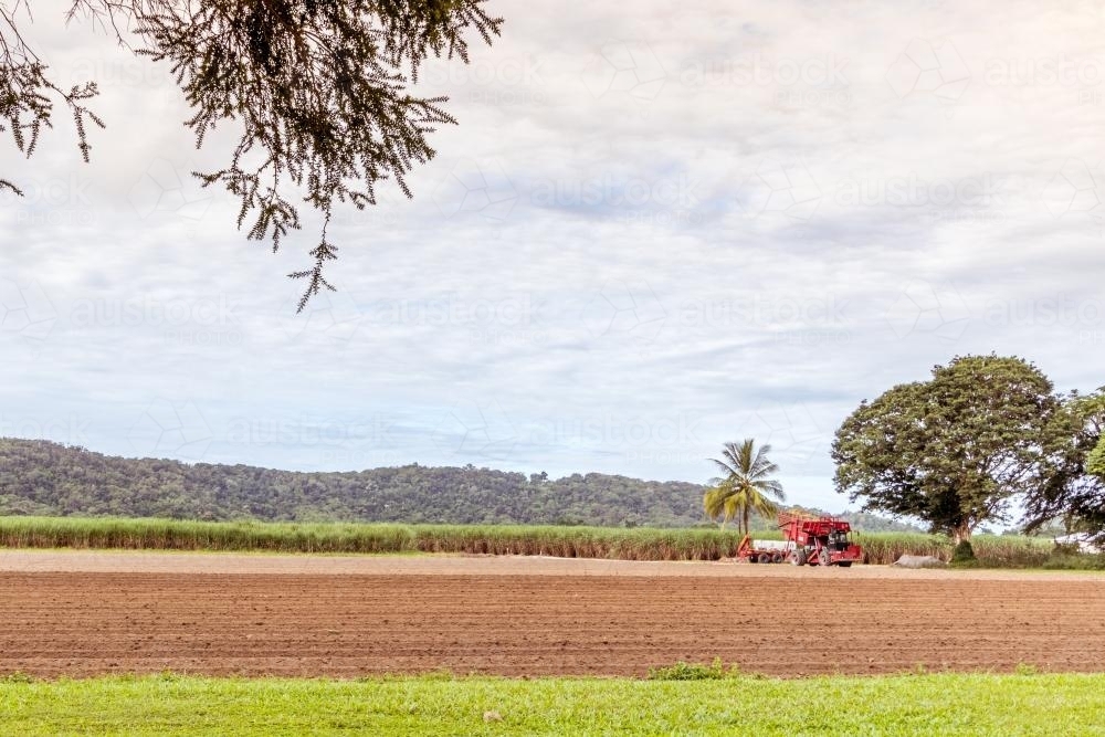 Cultivated cane field with tractor - Australian Stock Image