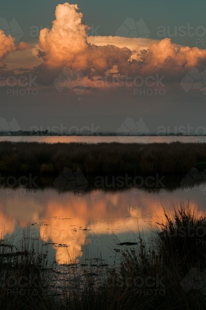 Cumulus cloud reflected in a swamp at dusk - Australian Stock Image