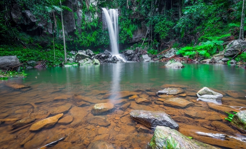 Waterhole in rainforest with waterfall and rich green plant life - Australian Stock Image