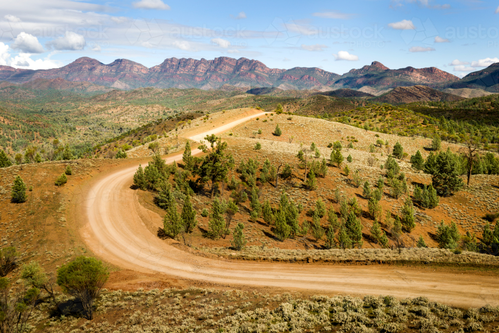 Curving dirt road winding through Bunyeroo Valley with rugged mountain backdrop - Australian Stock Image