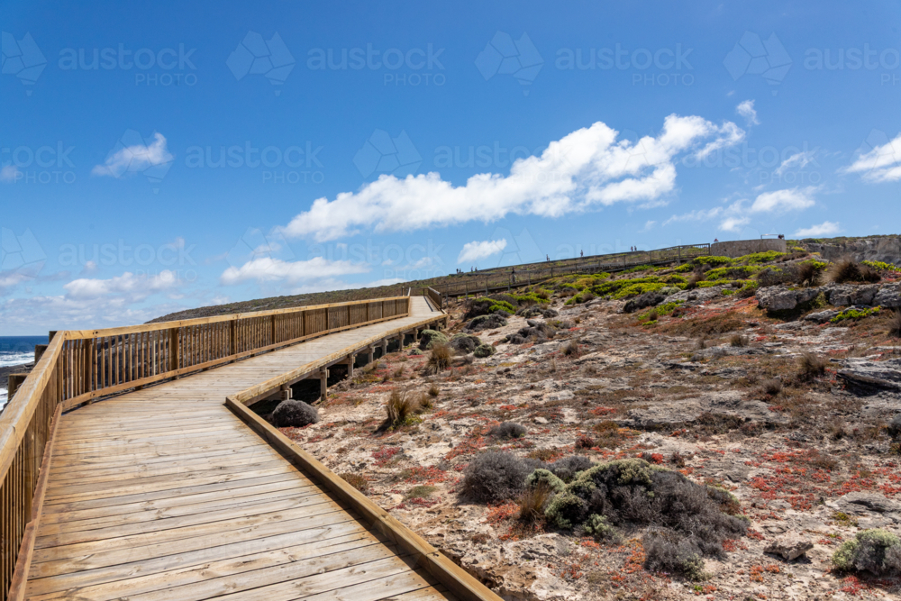 Curving Wooden Boardwalk Along the Coast at Admirals Arch, Kangaroo Island - Australian Stock Image