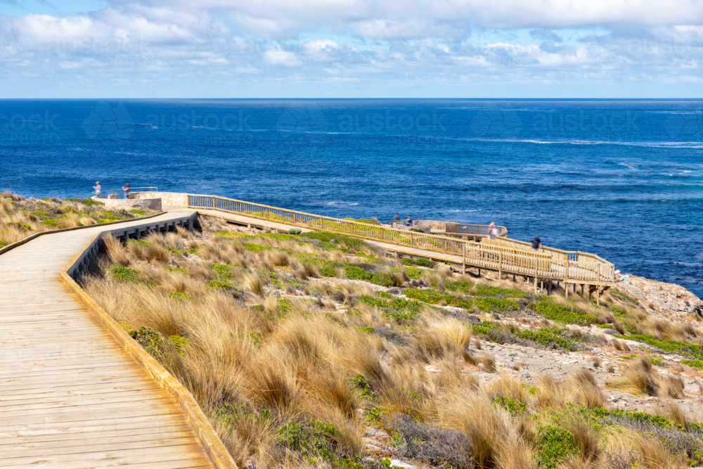 Curving Wooden Boardwalk with Tourists Overlooking the Ocean at Admirals Arch on Kangaroo Island - Australian Stock Image