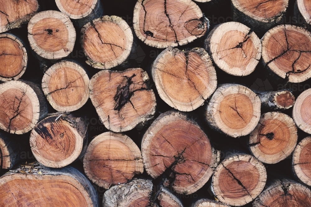 Cut wood logs, stacked on top of each other. - Australian Stock Image