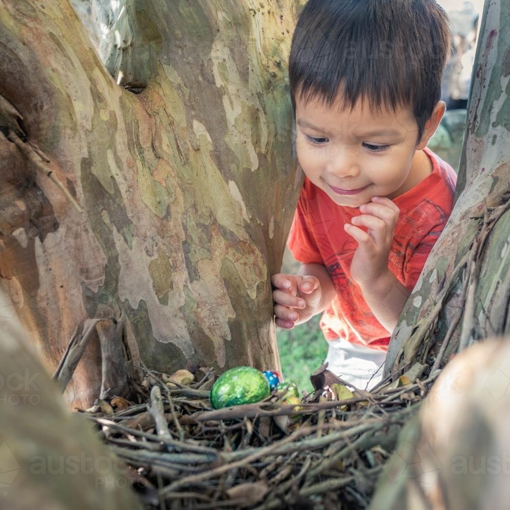 Cute 3 year old mixed race boy finds a chocolate egg on an Easter Egg Hunt - Australian Stock Image