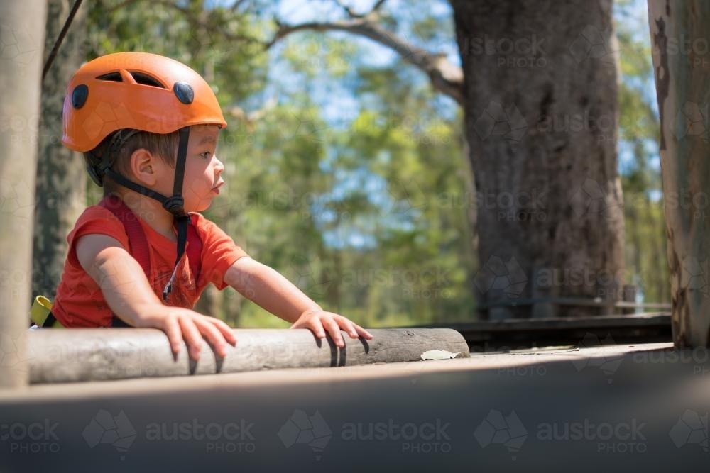 Cute 3 year old mixed race boy plays on an adventure ropes course - Australian Stock Image