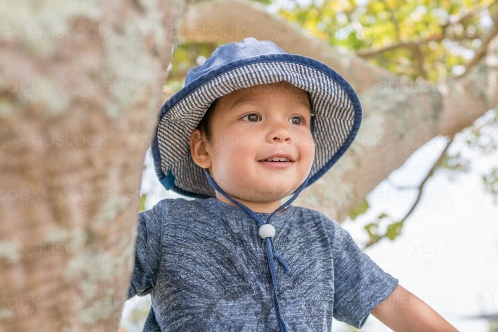 Cute 3 year old mixed race boy wearing a blue hat sitting in a tree - Australian Stock Image