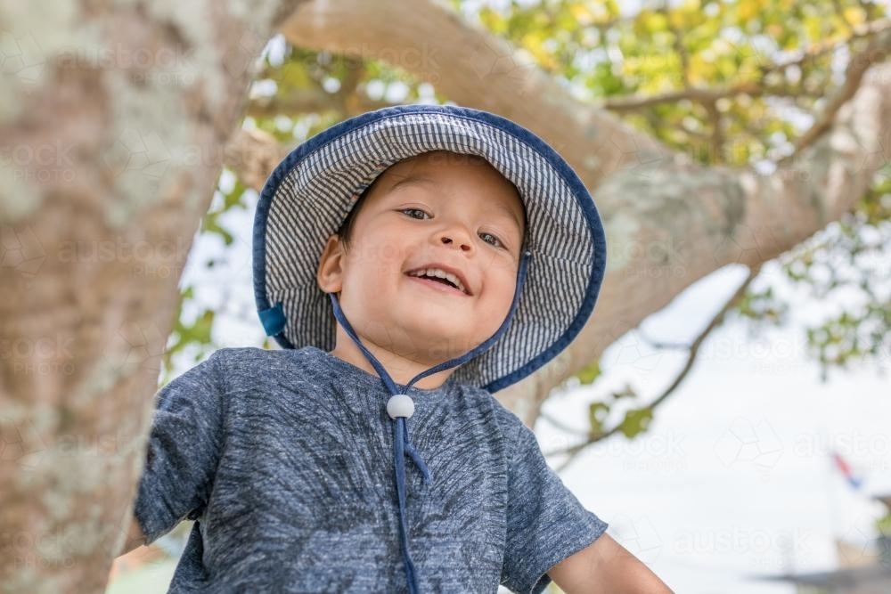 Cute 3 year old mixed race boy wearing a blue hat sitting in a tree - Australian Stock Image