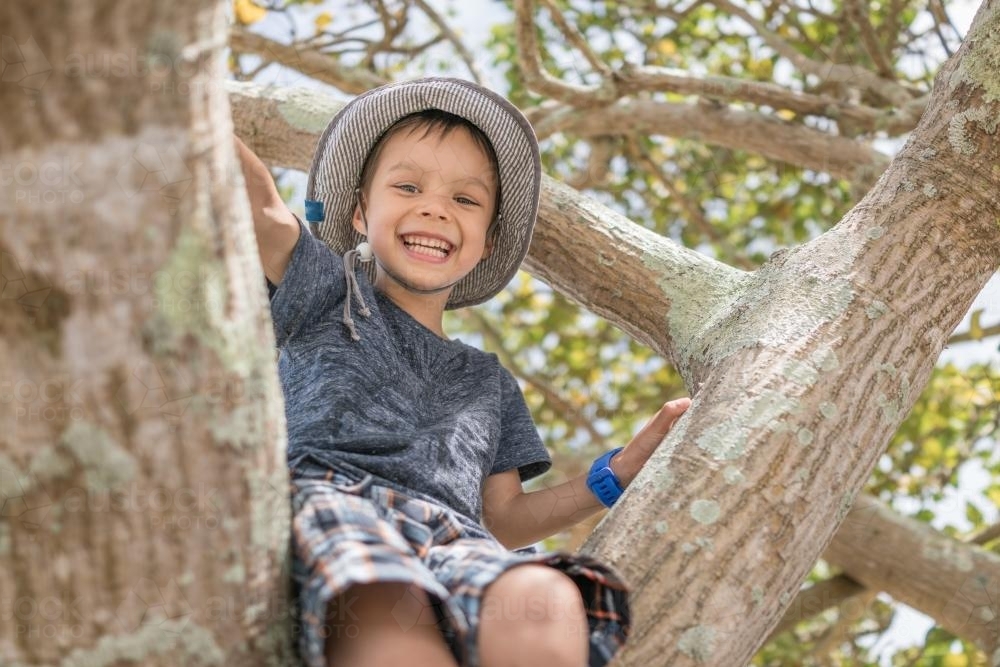 Cute 5 year old mixed race boy wearing a blue hat climbs a tree - Australian Stock Image