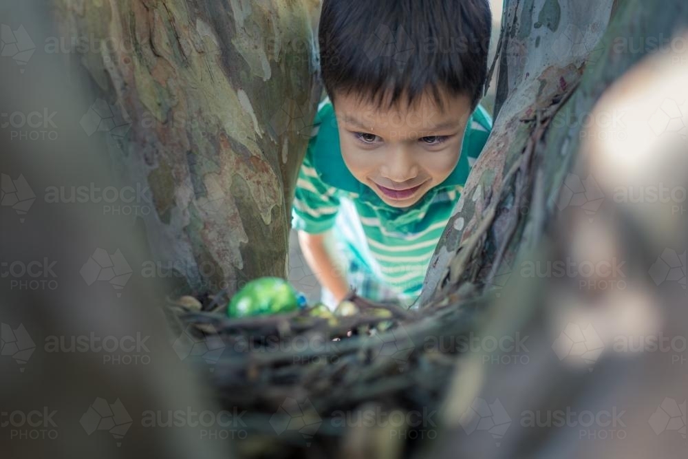 Cute 6 year old mixed race boy finds a chocolate egg on an Easter Egg Hunt - Australian Stock Image