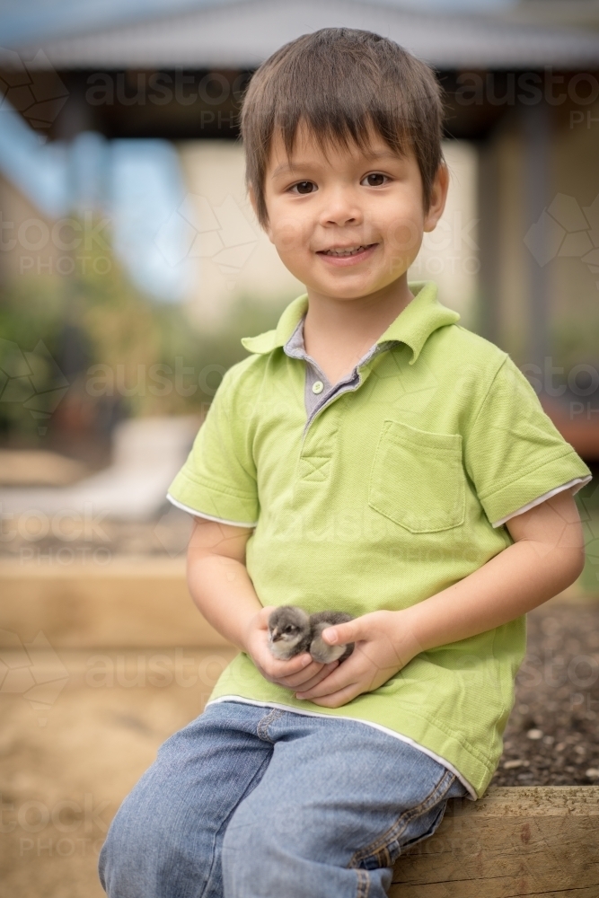 Cute boy holding his pet chicken in the backyard of his suburban home - Australian Stock Image