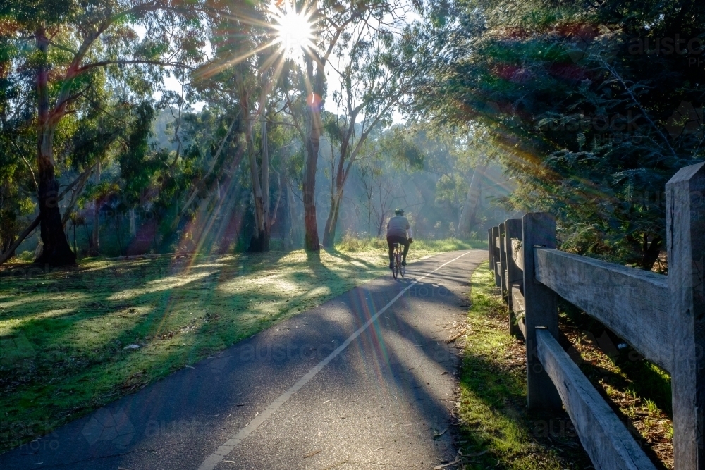 Cyclist riding on Diamond Creek Trail in Eltham - Australian Stock Image