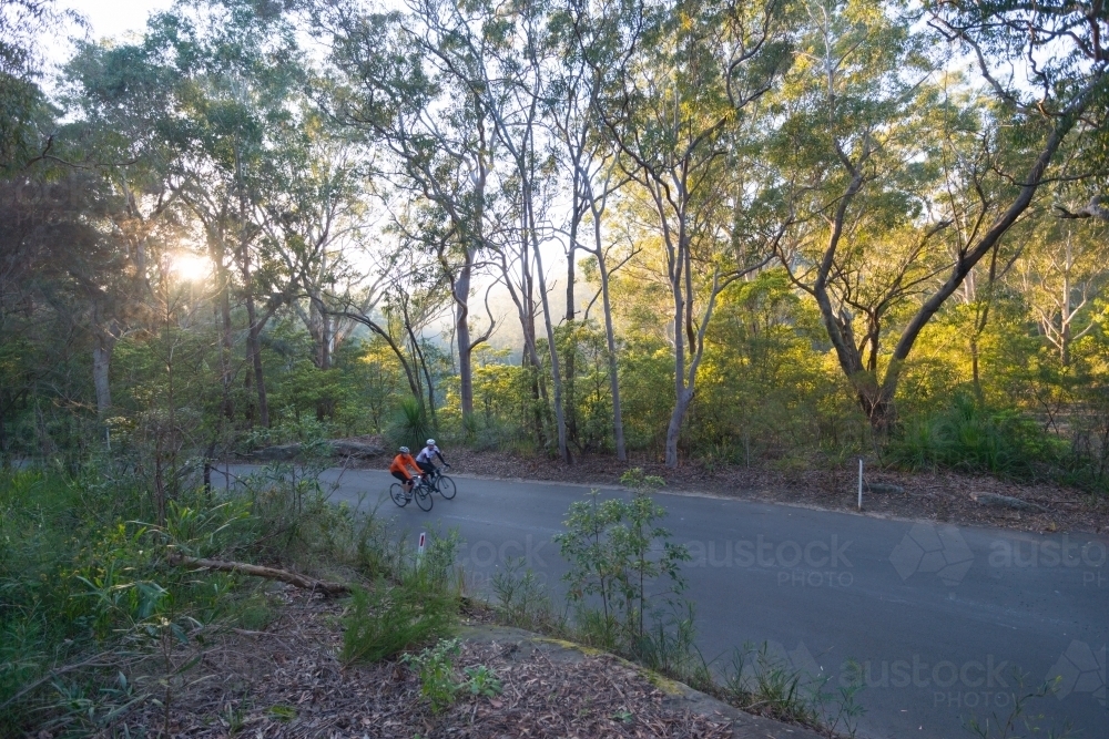 Cyclists riding on road in forest during sunrise - Australian Stock Image