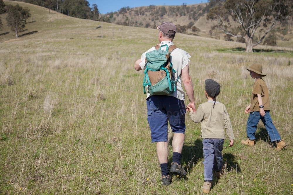 Dad and two young sons bushwalking through a paddock - Australian Stock Image