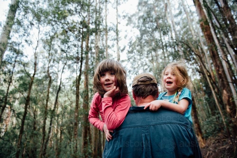 Dad carrying two daughters in the forest - Australian Stock Image