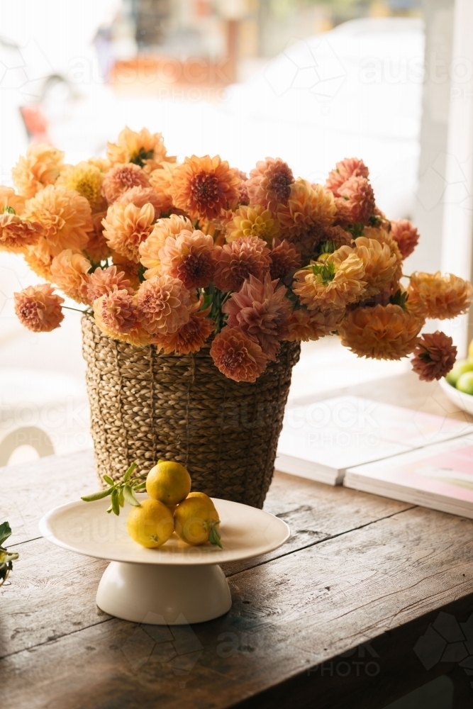 dahlias in the window - Australian Stock Image