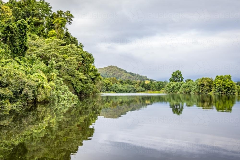 Daintree river reflection : Austockphoto Daintree river reflection - Australian Stock Image