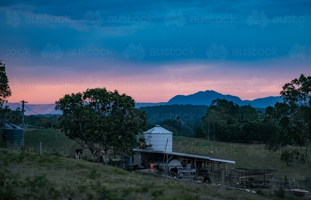 Dairy at sunset - Australian Stock Image