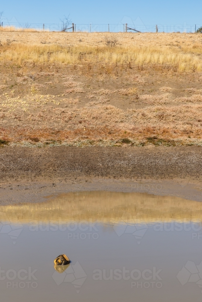 Dam bank - Australian Stock Image