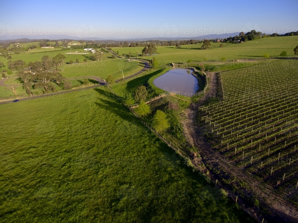 Dam on a Vineyard in Kangaroo Ground - Australian Stock Image