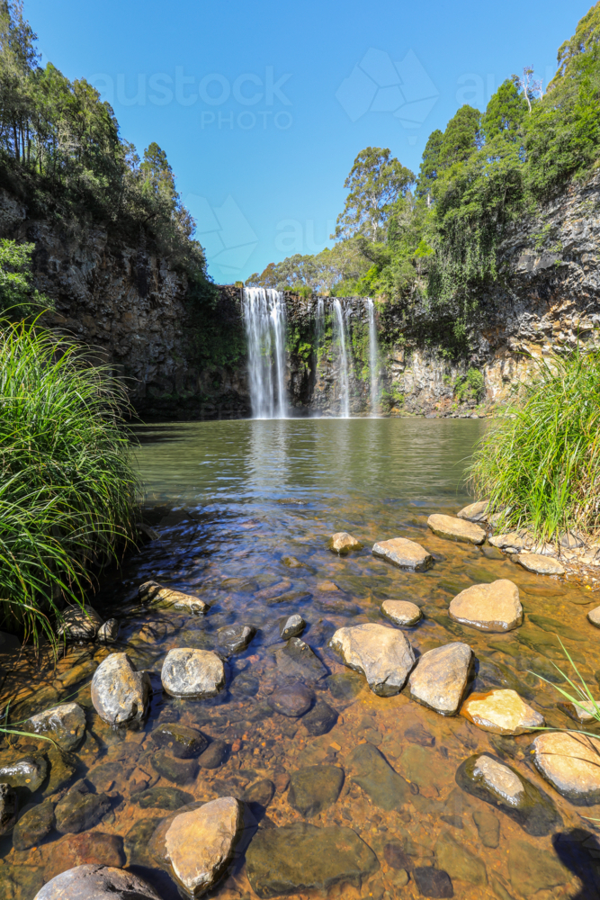 Dangar Falls flowing into pool in Dorrigo, New South Wales, Australia. Scenic natural landscape - Australian Stock Image