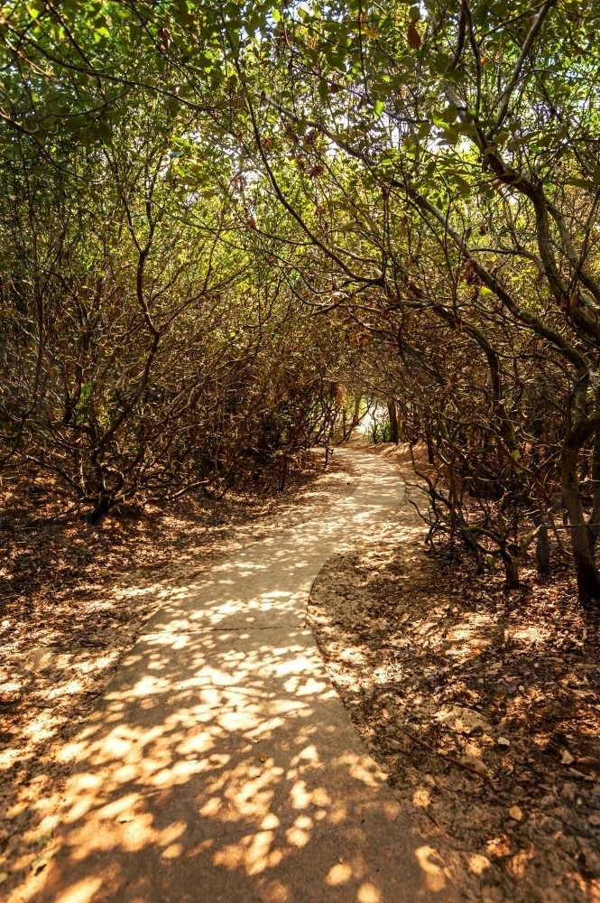 dappled light on a path to the beach - Australian Stock Image