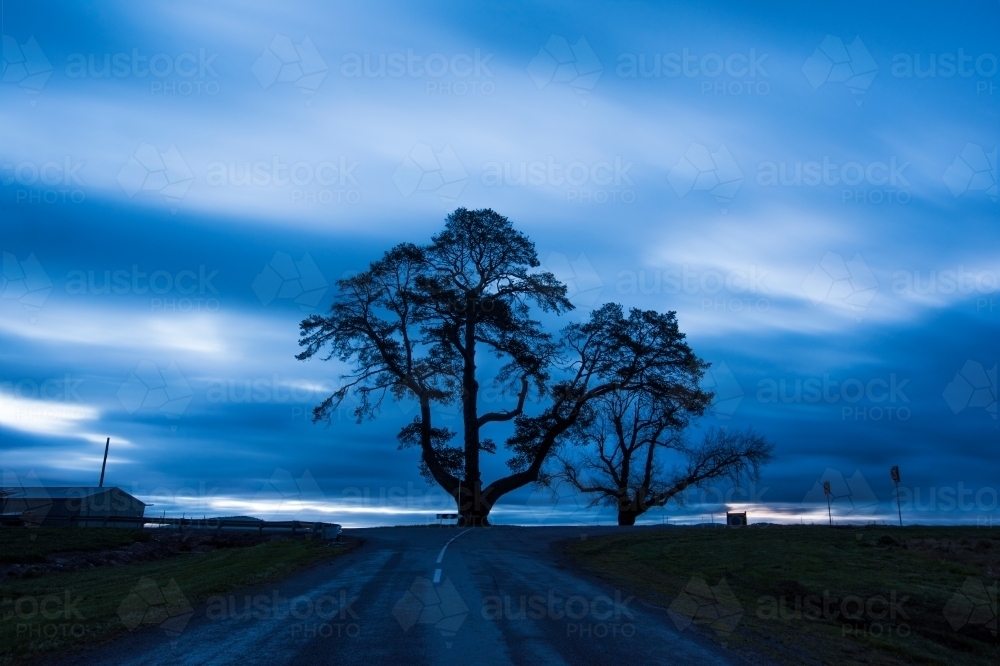 Dark skies at the end of the road with a tree silhouette. - Australian Stock Image