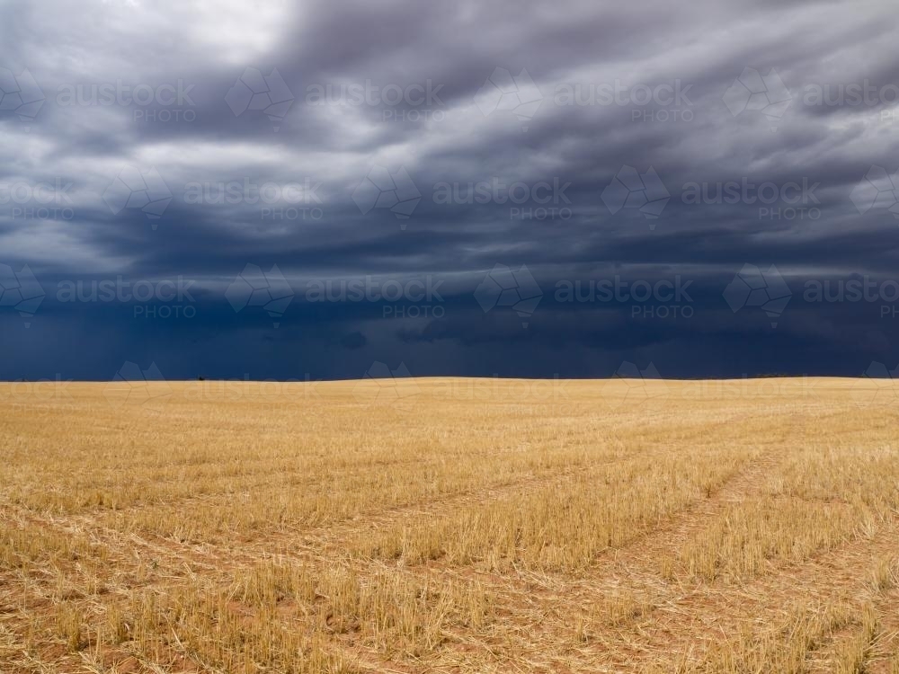 Dark storm clouds over a yellow harvested wheat field - Australian Stock Image