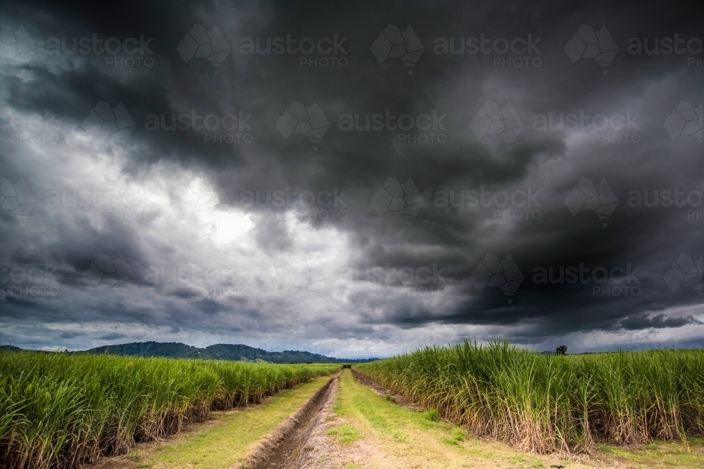 Dark storm clouds over the clearing of cane fields - Australian Stock Image